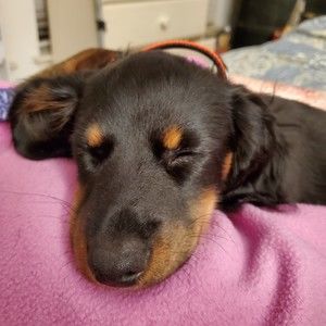 Meet your Posher, Veronica